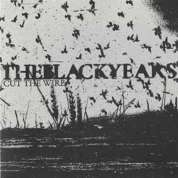 (image for) Black Years, The - Cut the Wire 7 inch